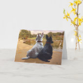 Wheaten & Black Scottish Terriers Kaart (Gele Bloem)