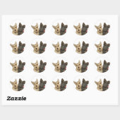 Wheaten & Black Scottish Terriers Ronde Sticker (Vel)