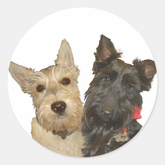Wheaten & Black Scottish Terriers Ronde Sticker (Voorkant)
