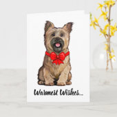 Wheaten Cairn Terrier met een kerstboog Kaart (Gele Bloem)