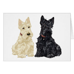Wheaten en Black Scottish Terriers