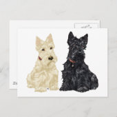 Wheaten en Black Scottish Terriers Briefkaart (Voorkant / Achterkant)
