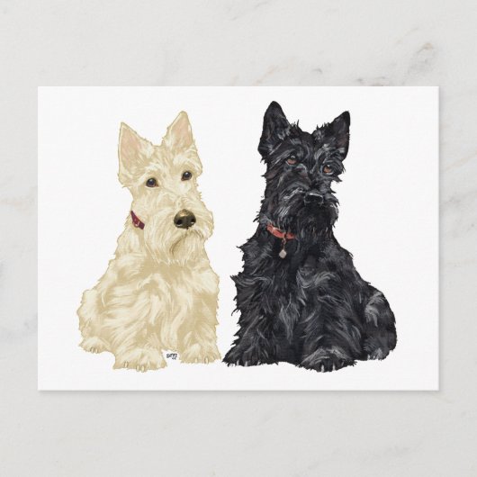 Wheaten en Black Scottish Terriers Briefkaart (Voorkant)
