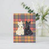 Wheaten en Black Scottish Terriers Briefkaart (Staand voorkant)