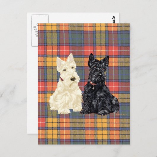 Wheaten en Black Scottish Terriers Briefkaart (Voorkant / Achterkant)