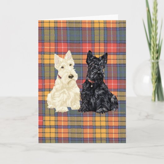 Wheaten en Black Scottish Terriers Kaart (Voorkant)
