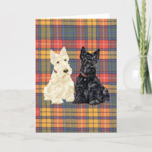 Wheaten en Black Scottish Terriers Kaart