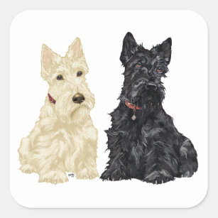 Wheaten en Black Scottish Terriers Vierkante Sticker