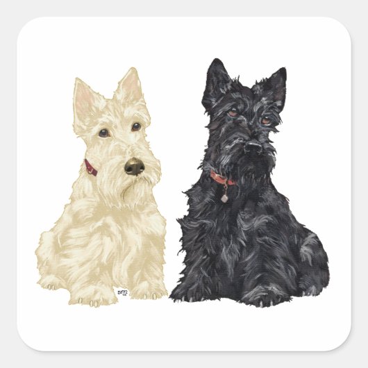Wheaten en Black Scottish Terriers Vierkante Sticker (Voorkant)