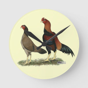 Wheaten Kippen van Aseel Ronde Klok