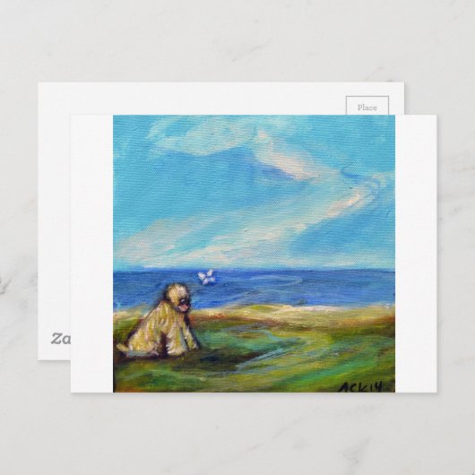 Wheaten Ocean Breeze Briefkaart (Voorkant / Achterkant)