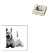 Wheaten Schotse terriër blij/voorzittend uitzicht Rubberstempel (Gestempeld)