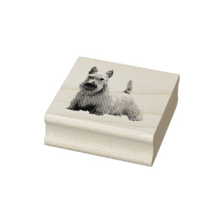 Wheaten Schotse terriër blij/voorzittend uitzicht Rubberstempel