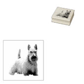 Wheaten Schotse terriër blij/voorzittend uitzicht Rubberstempel (Gestempeld)