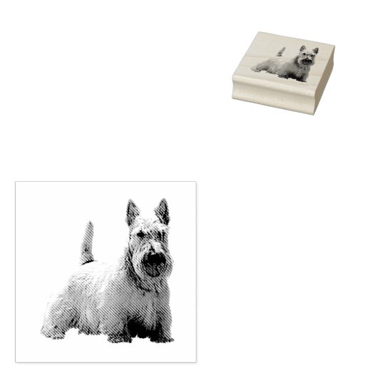 Wheaten Schotse terriër blij/voorzittend uitzicht Rubberstempel (Gestempeld)