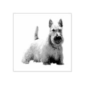 Wheaten Schotse terriër blij/voorzittend uitzicht Rubberstempel (Afrduk)