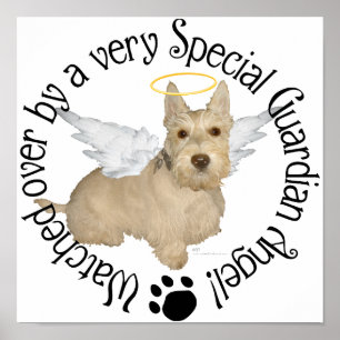 Wheaten Schotse Terrier Engelen Poster