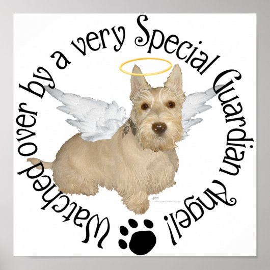 Wheaten Schotse Terrier Engelen Poster (Voorkant)