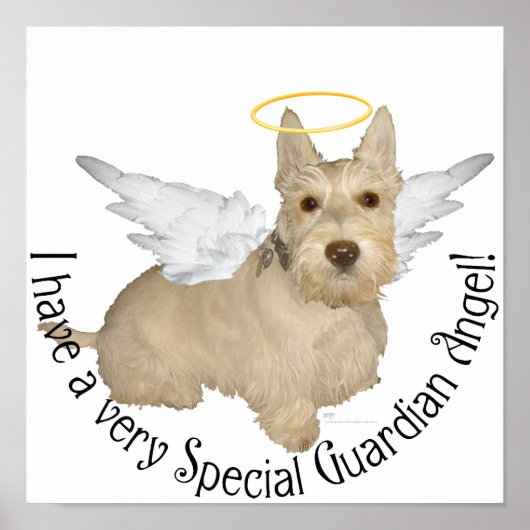 Wheaten Schotse Terrier Engelen Poster (Voorkant)