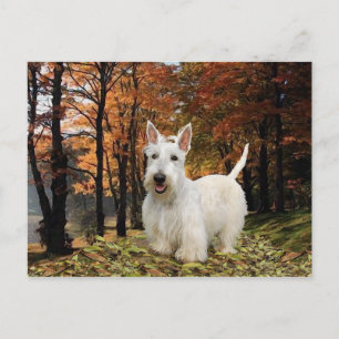 Wheaten Schotse Terriër Herfst Briefkaart