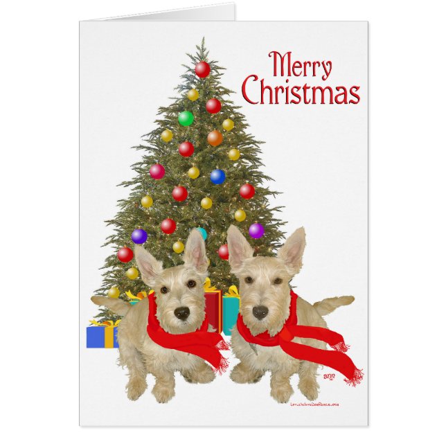 Wheaten Schotse Terriër Kerstmis (Voorkant)