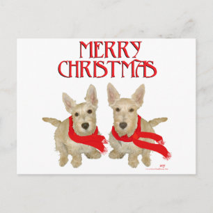 Wheaten Schotse Terriër Kerstmis Briefkaart