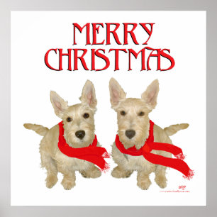 Wheaten Schotse Terriër Kerstmis Poster