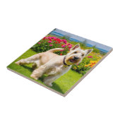 Wheaten Schotse Terriër spelen in Bloemen Gras Tegeltje (Zijkant)