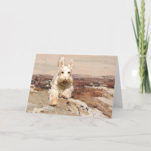 Wheaten Schotse Terrier Wenskaart Kaart