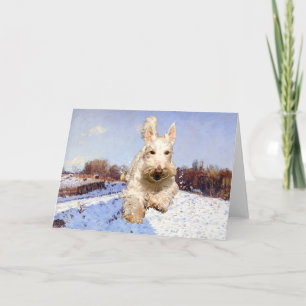Wheaten Schotse Terrier Wenskaart Kaart