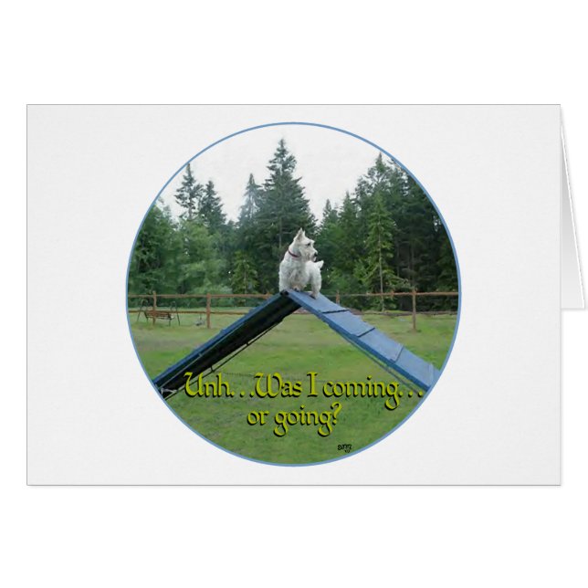 Wheaten Scottie Agility (Voorkant Horizontaal)