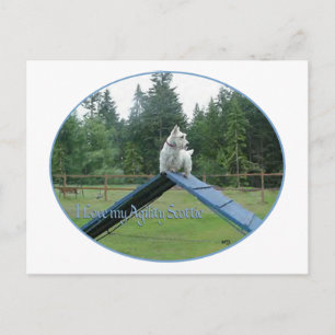Wheaten Scottie Agility Briefkaart