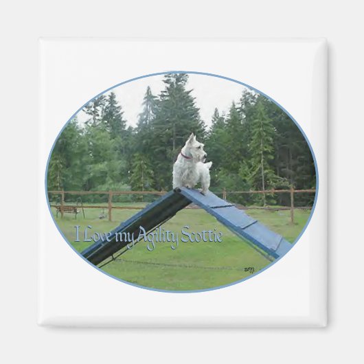 Wheaten Scottie Agility Magneet (Voorkant)