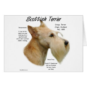 Wheaten Scottie Geschiedenis