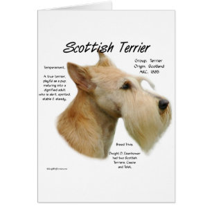 Wheaten Scottie Geschiedenis