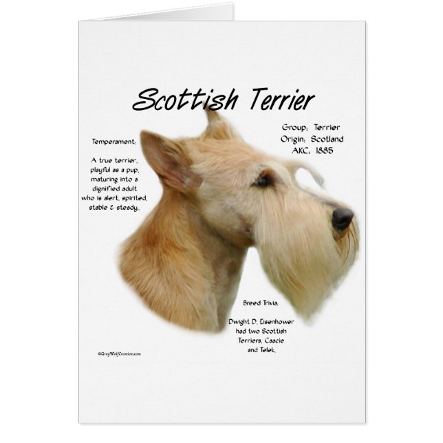 Wheaten Scottie Geschiedenis (Voorkant)