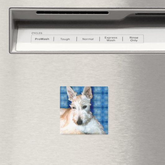 Wheaten Scottie Magnets Magneet (Insitu (Vaatwasser))