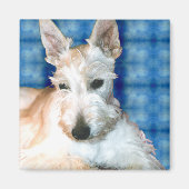 Wheaten Scottie Magnets Magneet (Voorkant)