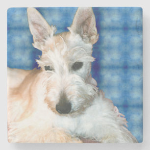 Wheaten Scottie Marble Coster Stenen Onderzetter