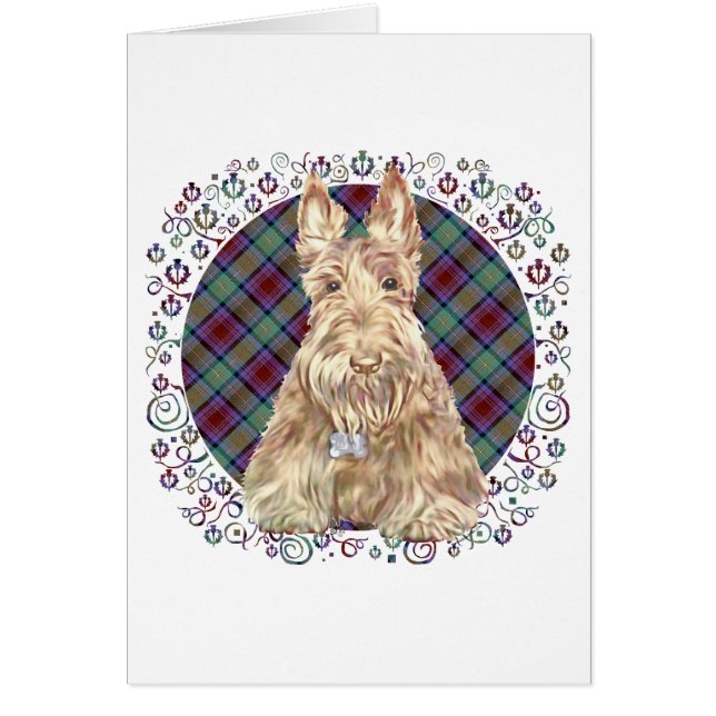 Wheaten Scottie Tartan (Voorkant)