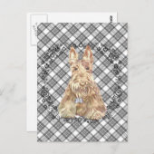 Wheaten Scottie Tartan Briefkaart (Voorkant / Achterkant)