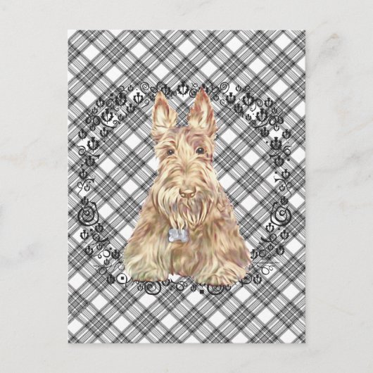 Wheaten Scottie Tartan Briefkaart (Voorkant)