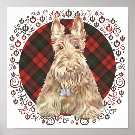 Wheaten Scottie Tartan Poster (Voorkant)