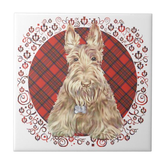 Wheaten Scottie Tartan Tegeltje (Voorkant)