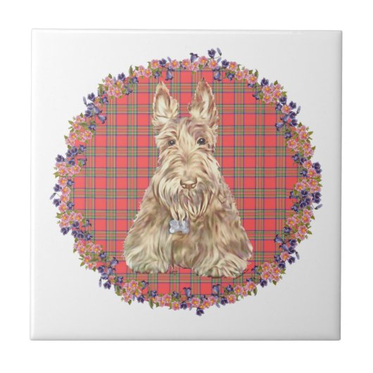 Wheaten Scottie Tartan Tegeltje (Voorkant)