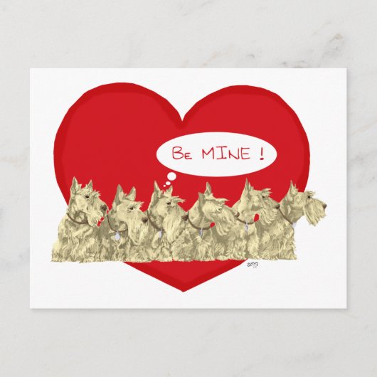 Wheaten Scotties Valentijn Feestdagenkaart (Voorkant)