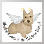 Wheaten Scottish Terrier Angels Poster (Voorkant)
