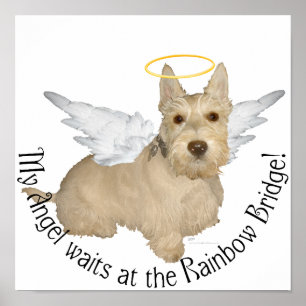 Wheaten Scottish Terrier Angels Poster