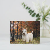 Wheaten Scottish Terrier Autumn Briefkaart (Staand voorkant)