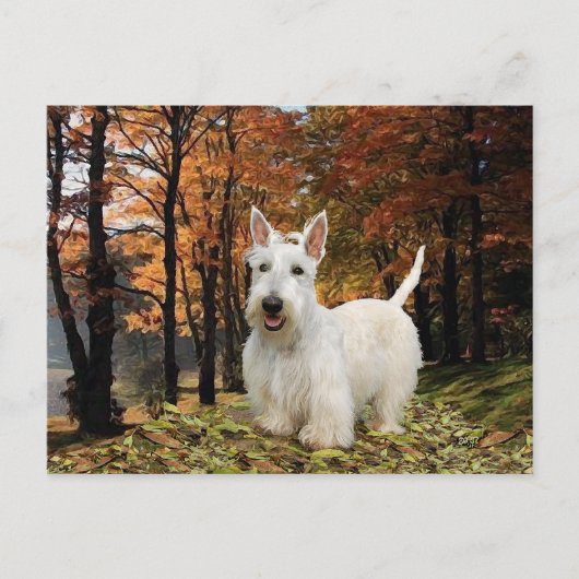 Wheaten Scottish Terrier Autumn Briefkaart (Voorkant)